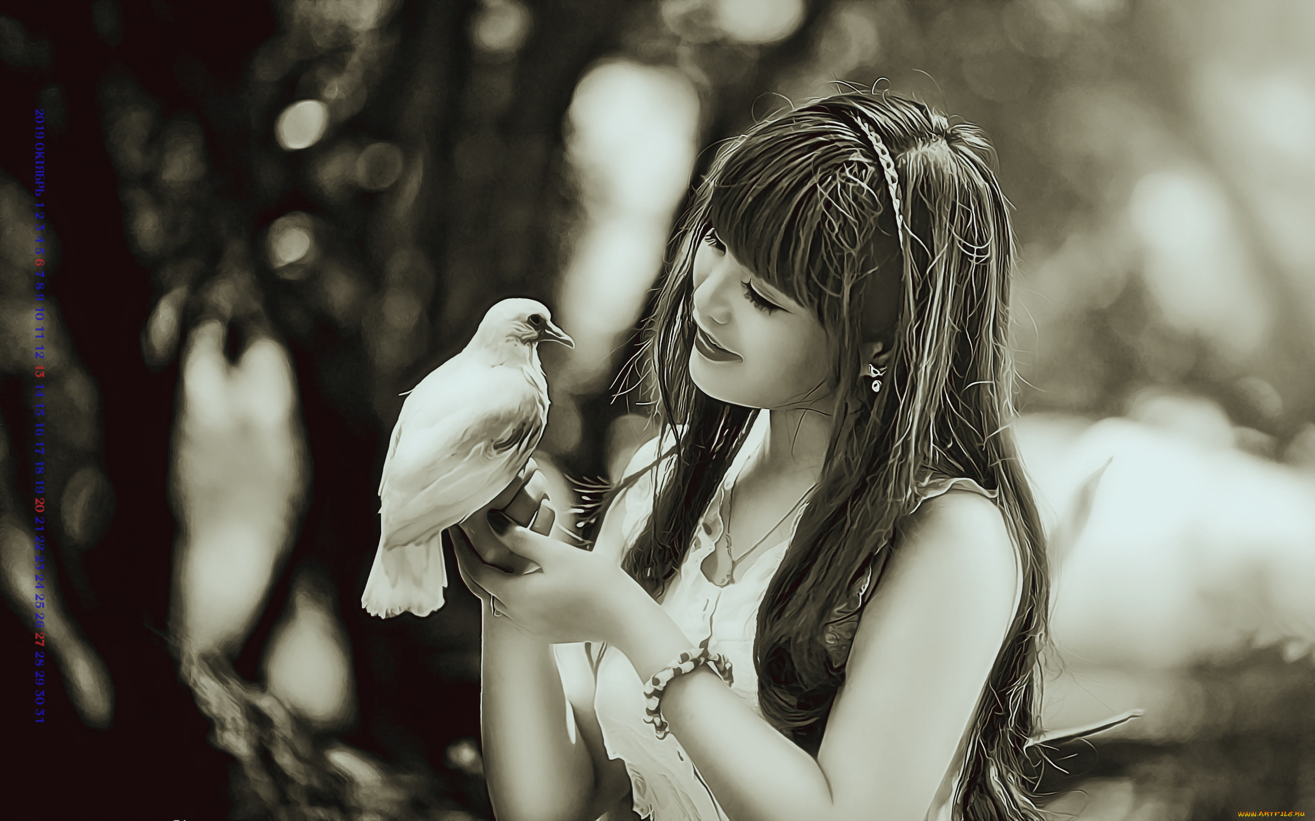 She likes birds. Девушка с птичкой. Девушка с голубем. Девушка держит птицу в руках. Девушка с птичкой в руках.